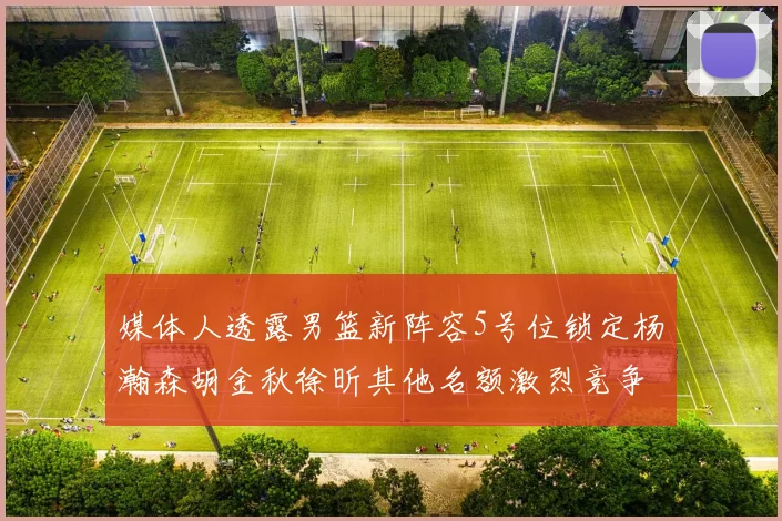 媒体人透露男篮新阵容5号位锁定杨瀚森胡金秋徐昕其他名额激烈竞争